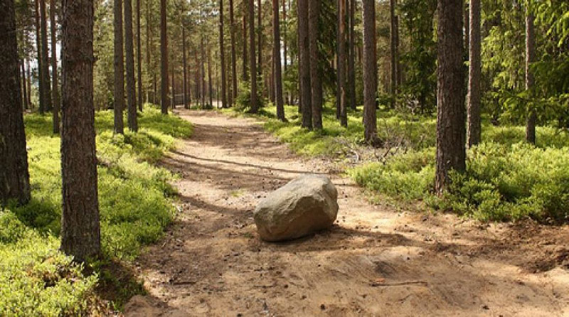 A pedra no caminho